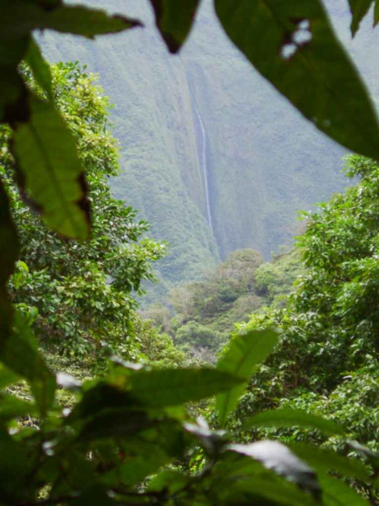 hawwaterfall2.jpg