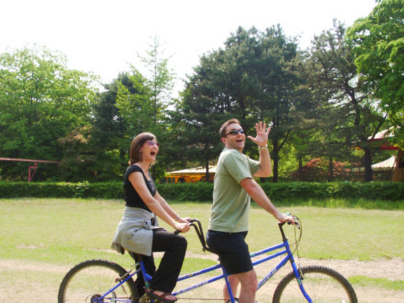 picnicbikedisaster.jpg