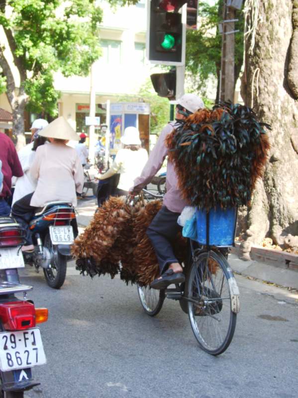 vietnamcarryfeathers.jpg