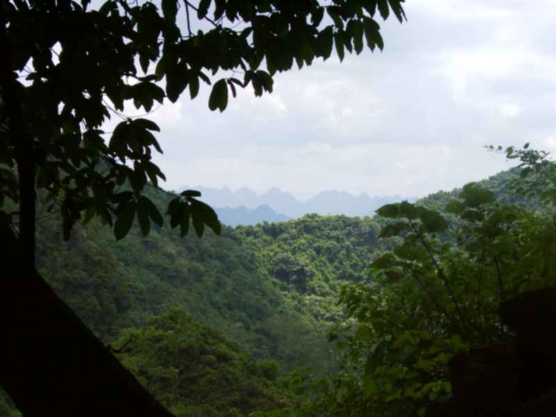 vietnamppdarkview.jpg
